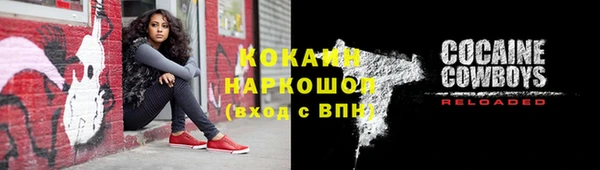 сатива Гусиноозёрск