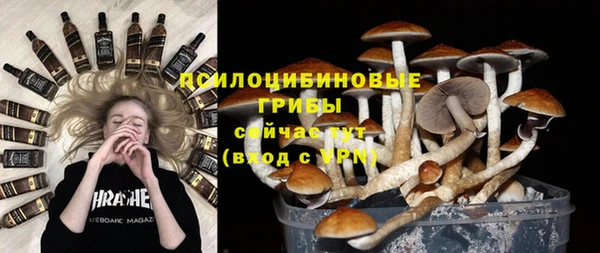МДПВ Дмитриев
